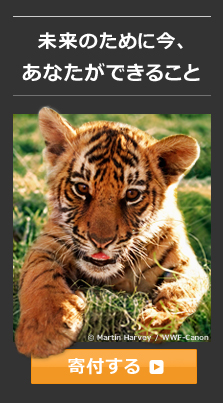 未来のために今、あなたができること