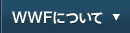 WWFについて