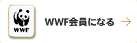 WWF会員になる