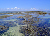 20101214c.jpg