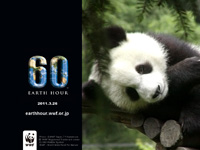 20110218b.jpg