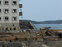 20110428a.jpg