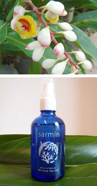 20120417blog1.jpg