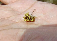 20120517a.jpg