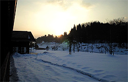 20120118b.jpg
