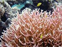 20120302b.jpg