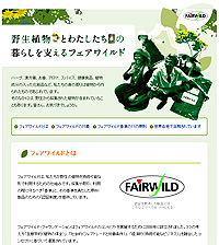 20120405a.jpg