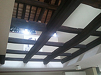20120423b.jpg