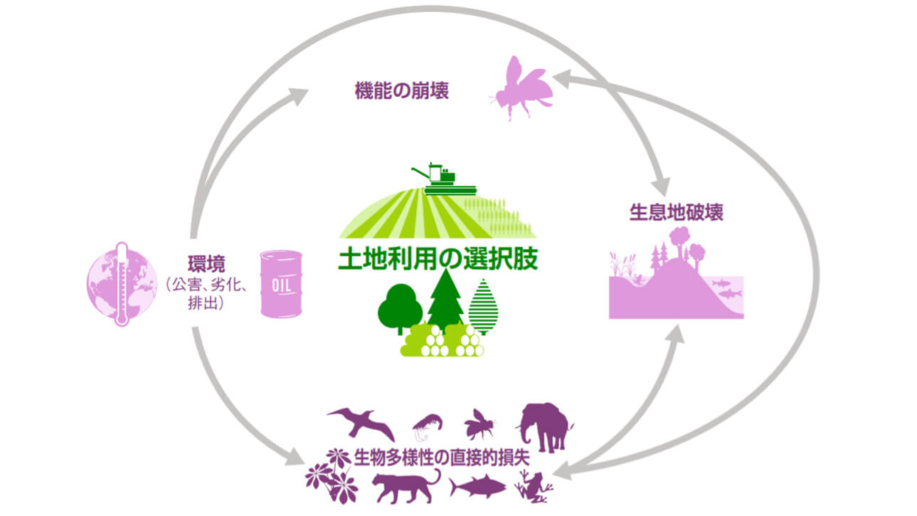 土地利用の選択が生物多様性に及ぼす直接的および間接的な負の影響
