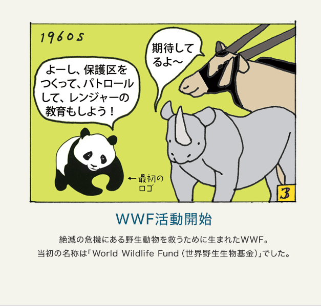 3 WWF活動開始 絶滅の危機にある野生動物を救うために生まれたWWF。当初の名称は「World Wildlife Fund（世界野生生物基金）」でした。