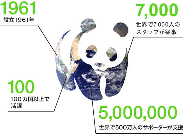 Wwfについて Wwfジャパン