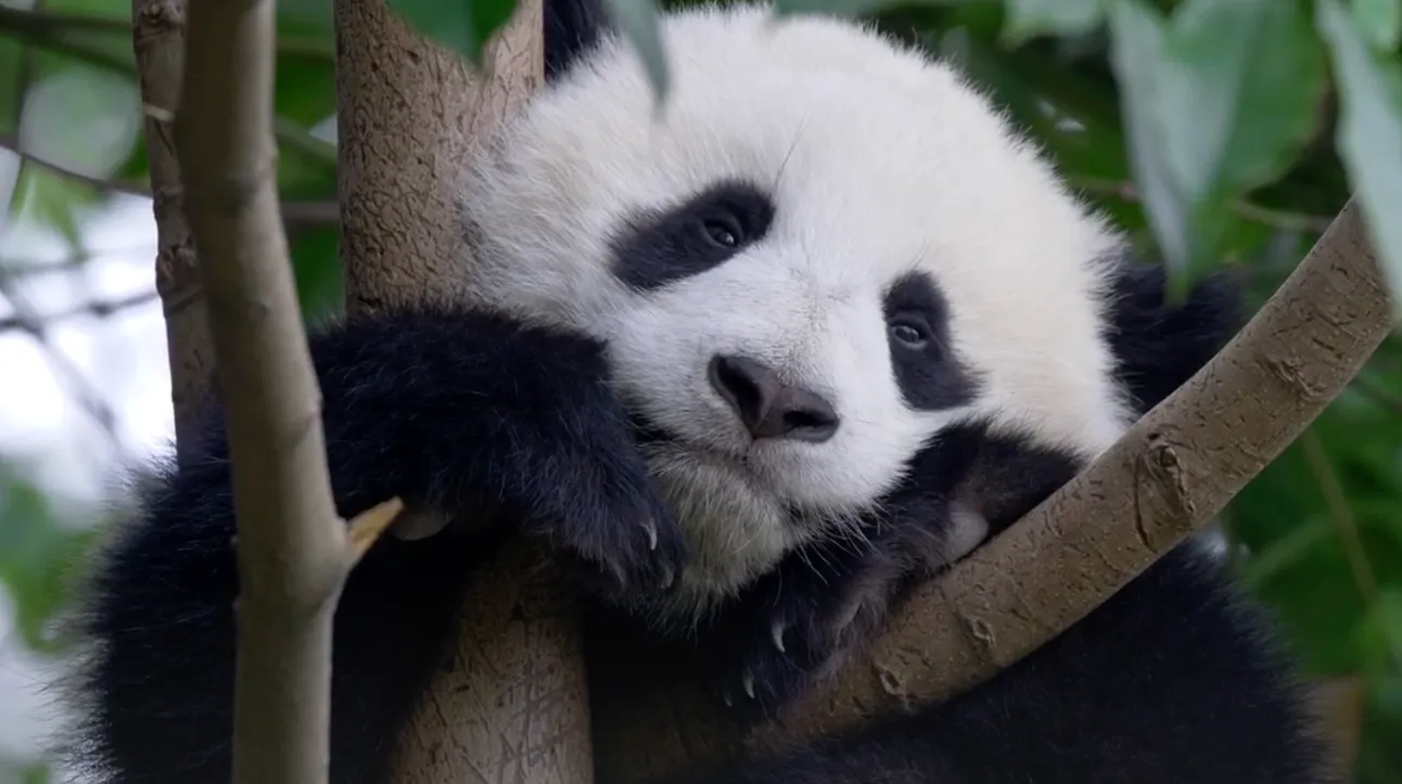 地球を守る、社会を変える