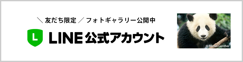 LINEのご案内