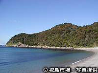 20110119a.jpg