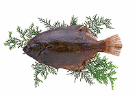 asc