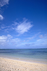 20110215a.jpg