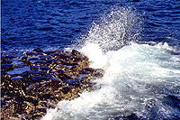 20110215b.jpg