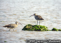 20110215c.jpg