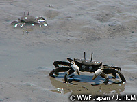 20110215d.jpg