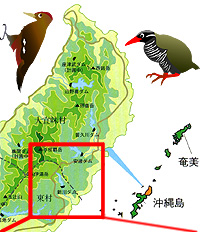 20071003i.jpg