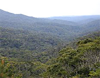 20110226c.jpg