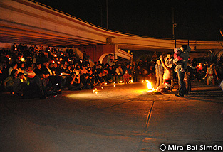 20110326mex.jpg