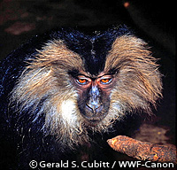 20110415b.jpg