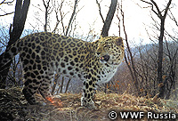20110510c.jpg