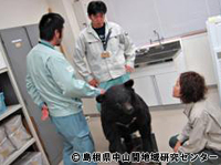 kuma07.jpg