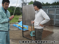 kuma10.gif