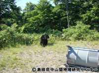 kuma16.jpg