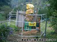 kuma17.jpg