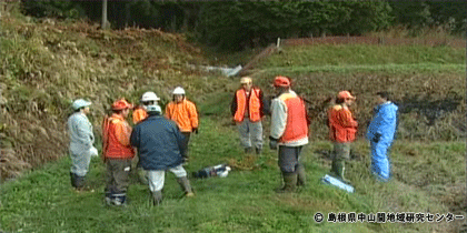 kuma19.gif