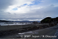 wwf_fukkou02.jpg