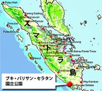 20111018a.jpg