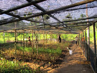 20111018e.jpg