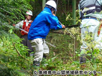 20111011kuma_re.jpg