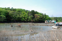 20111026_matsu_b.jpg