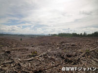 20111122_03.jpg