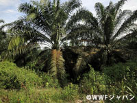 20111122_05.jpg