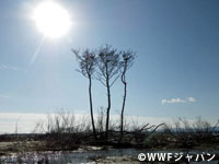 20111124a.jpg