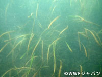 20111124c.jpg