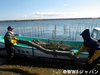 20111124e.jpg