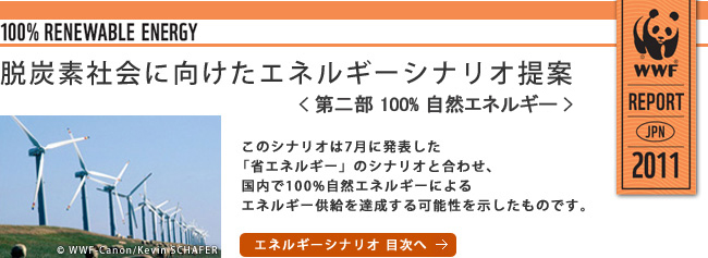 脱炭素社会に向けた
エネルギーシナリオ提案