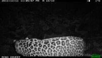 20111214c.jpg