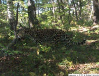 20111214e.jpg