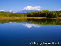 20111220sake1.jpg