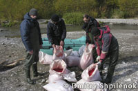 20111220sake11.jpg