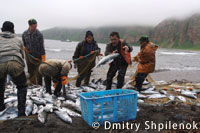 20111220sake9.jpg