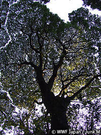 DSCF0939.jpg
